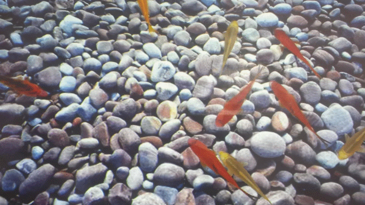 互動走廊，地面互動-博視界科技