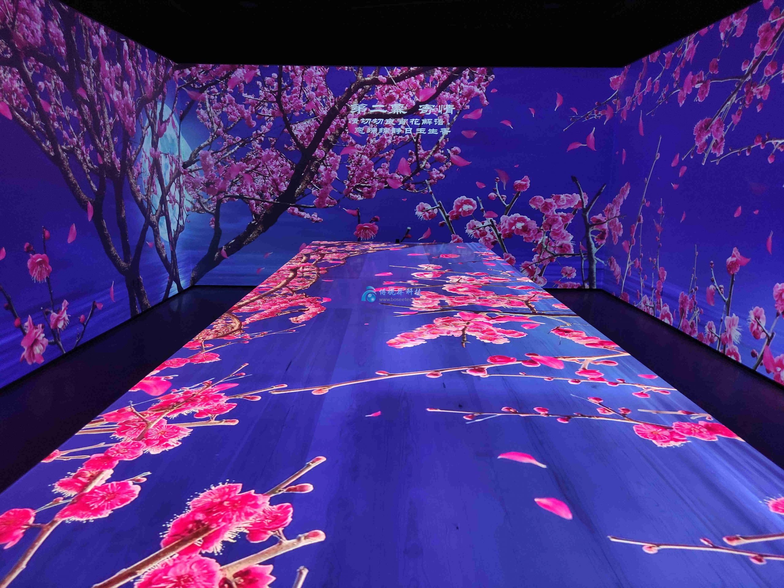 武漢石門峰5D全息投影餐廳-博視界科技